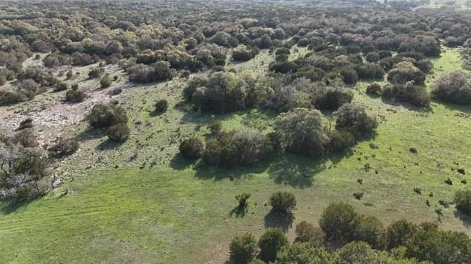 Tbd 000 County Road 108 Burnet TX 78611