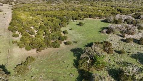 Tbd 000 County Road 108 Burnet TX 78611
