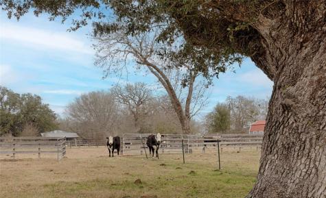 66 County Road 77d Schulenburg TX 78956