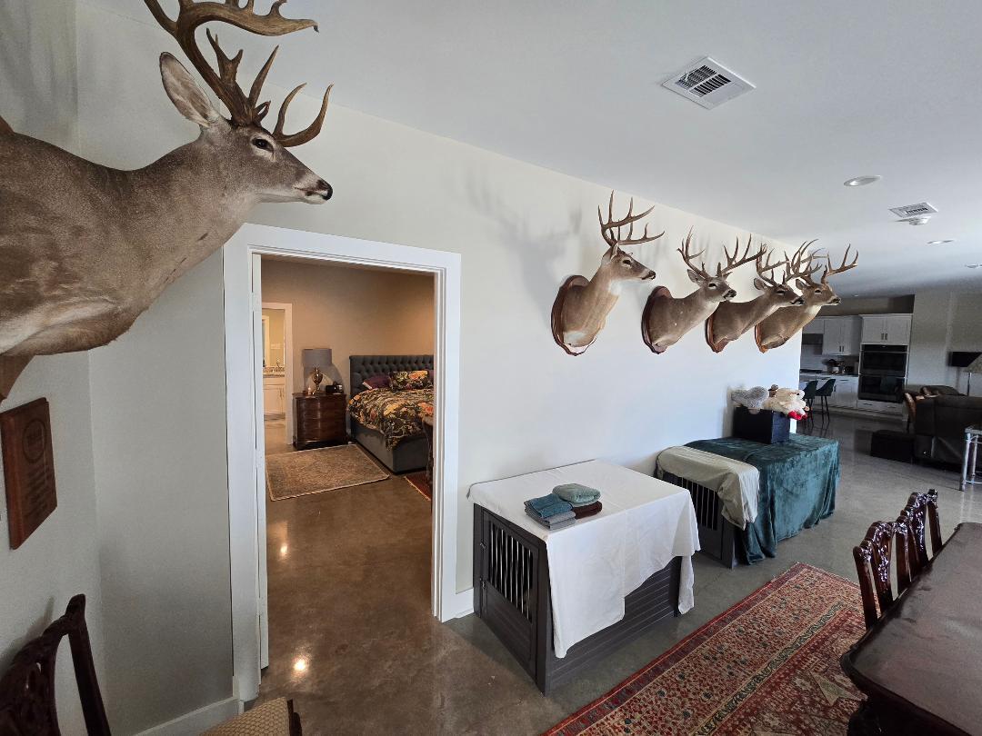 1684 County Road 2234 Lampasas TX 76550