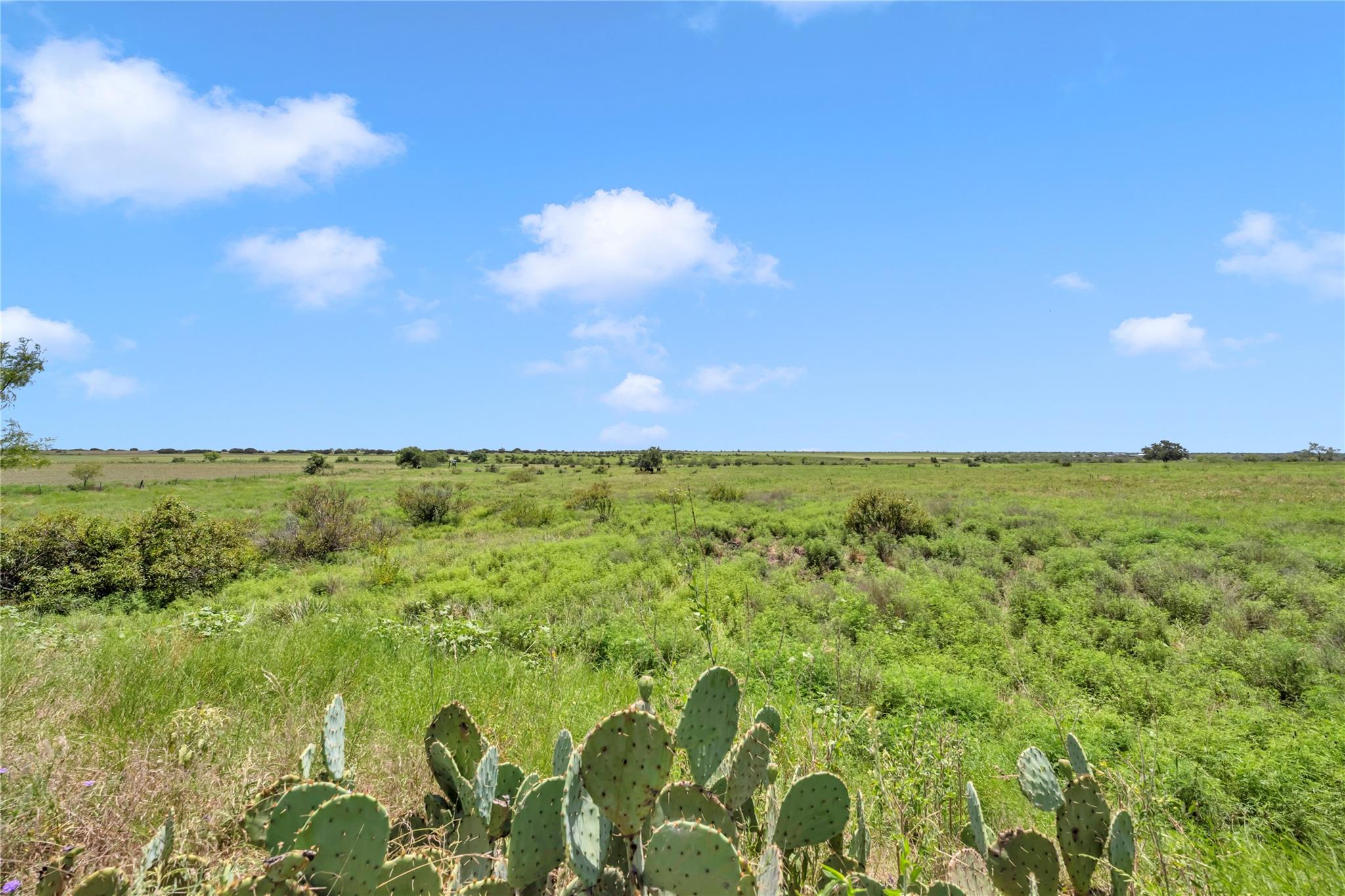 11064 County Road 210 Road Bertram TX 78605