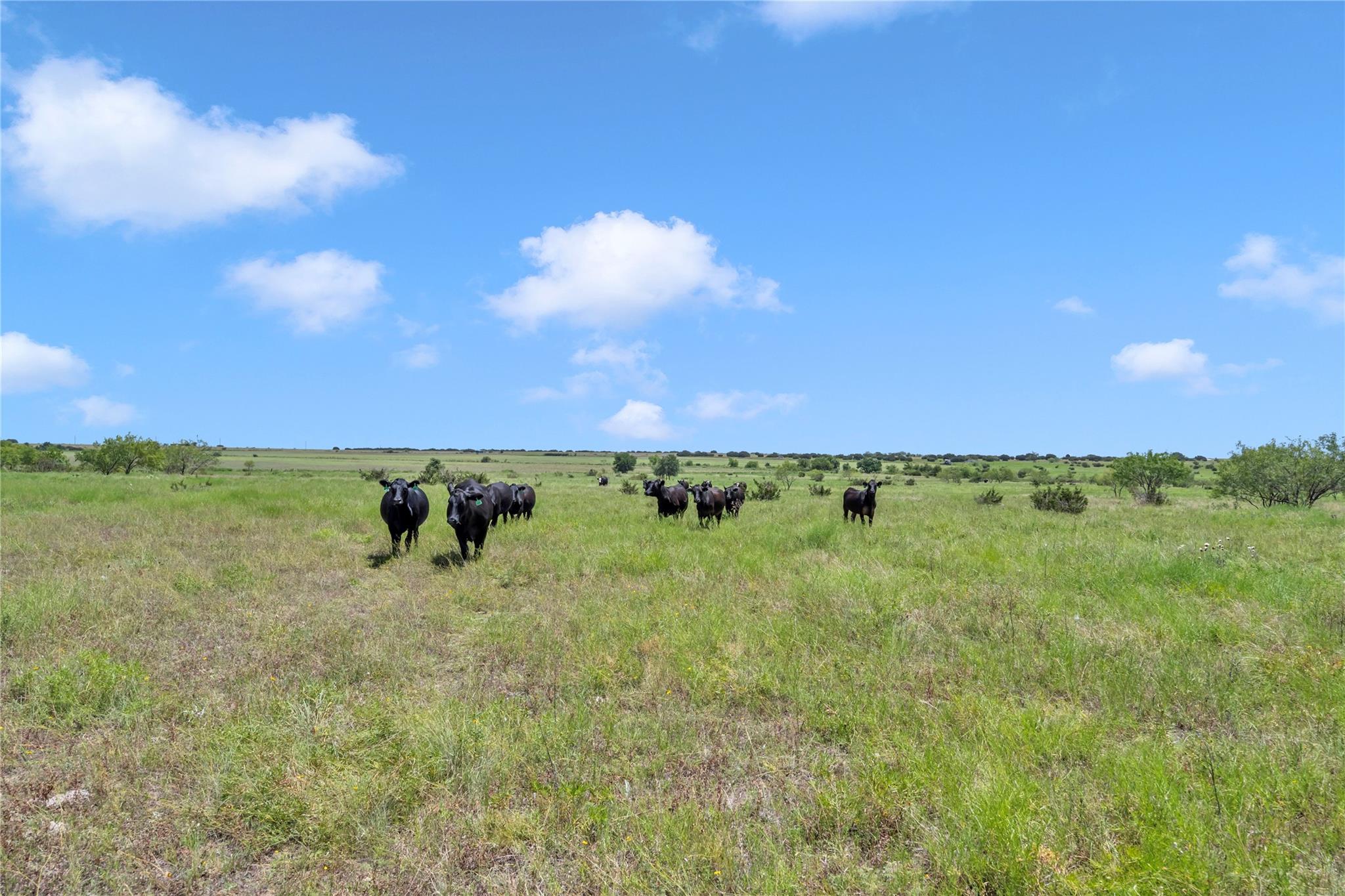 11064 County Road 210 Road Bertram TX 78605