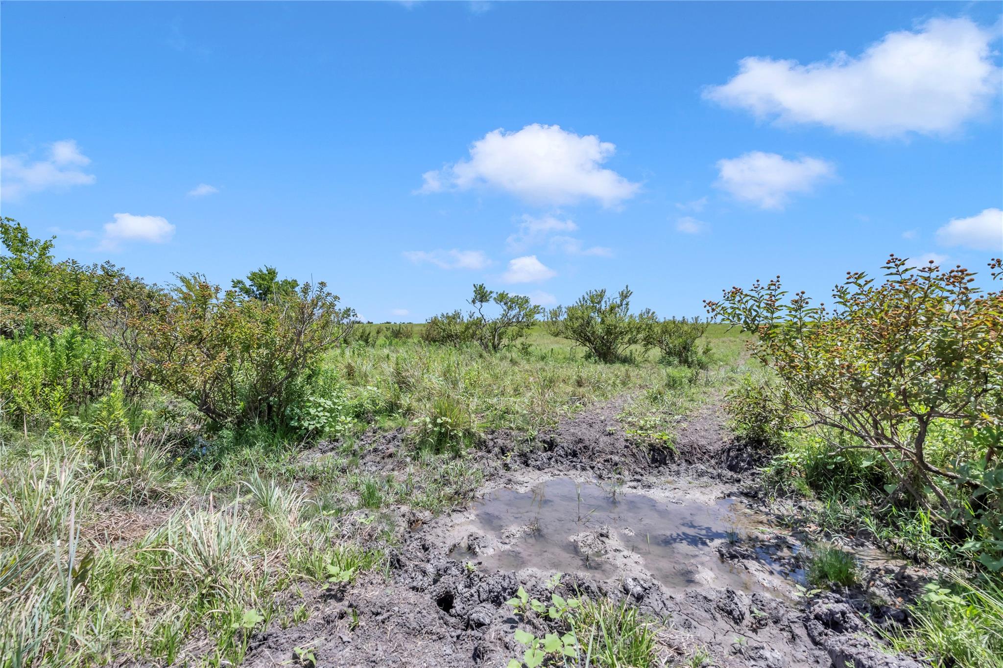 11064 County Road 210 Road Bertram TX 78605