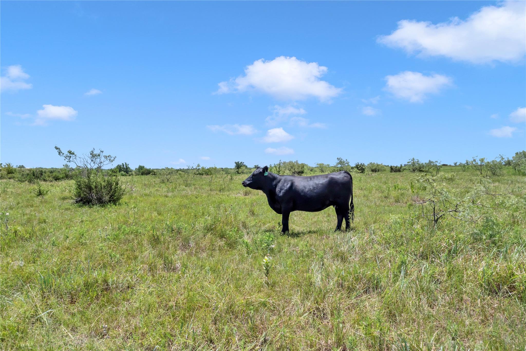 11064 County Road 210 Road Bertram TX 78605