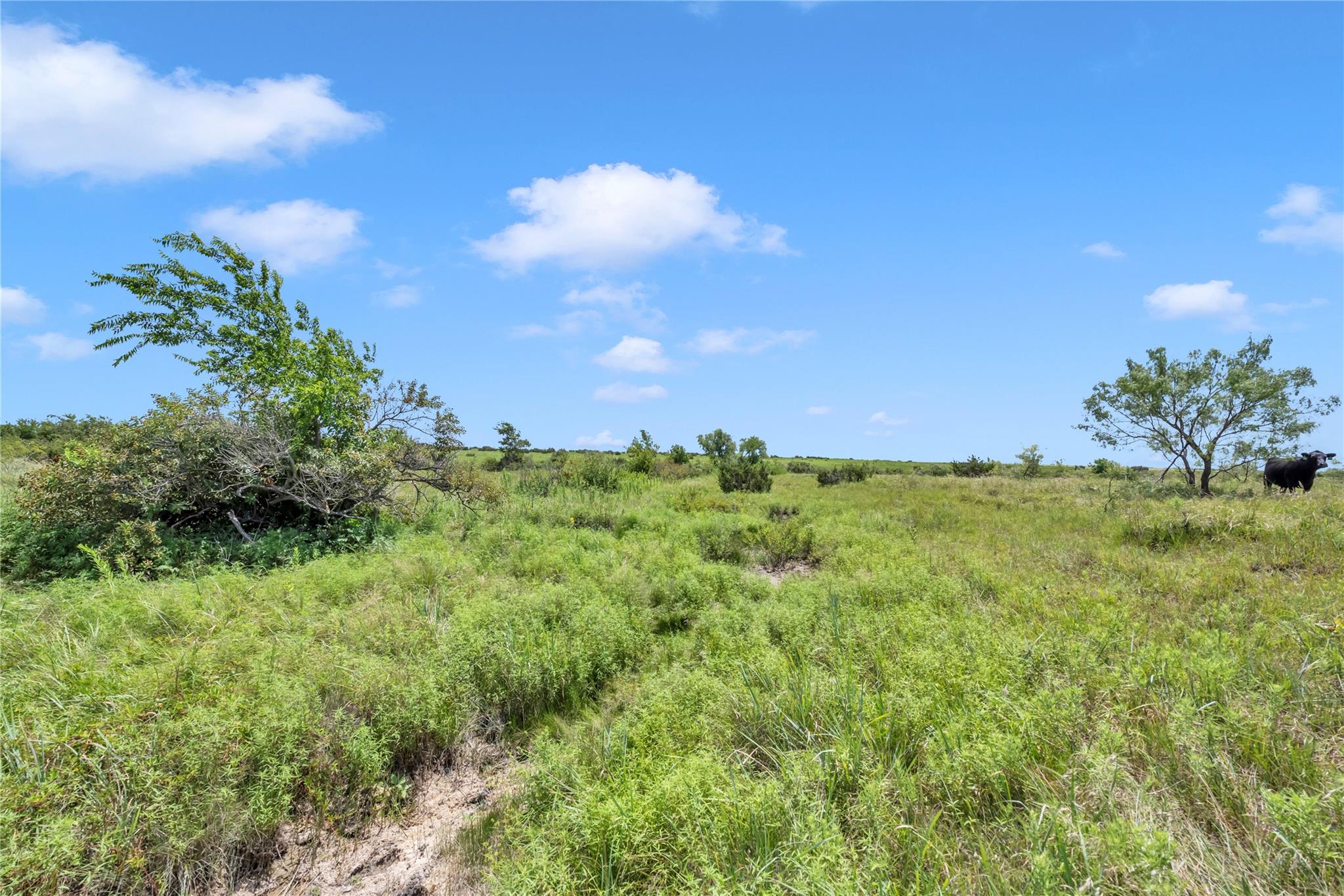 11064 County Road 210 Road Bertram TX 78605