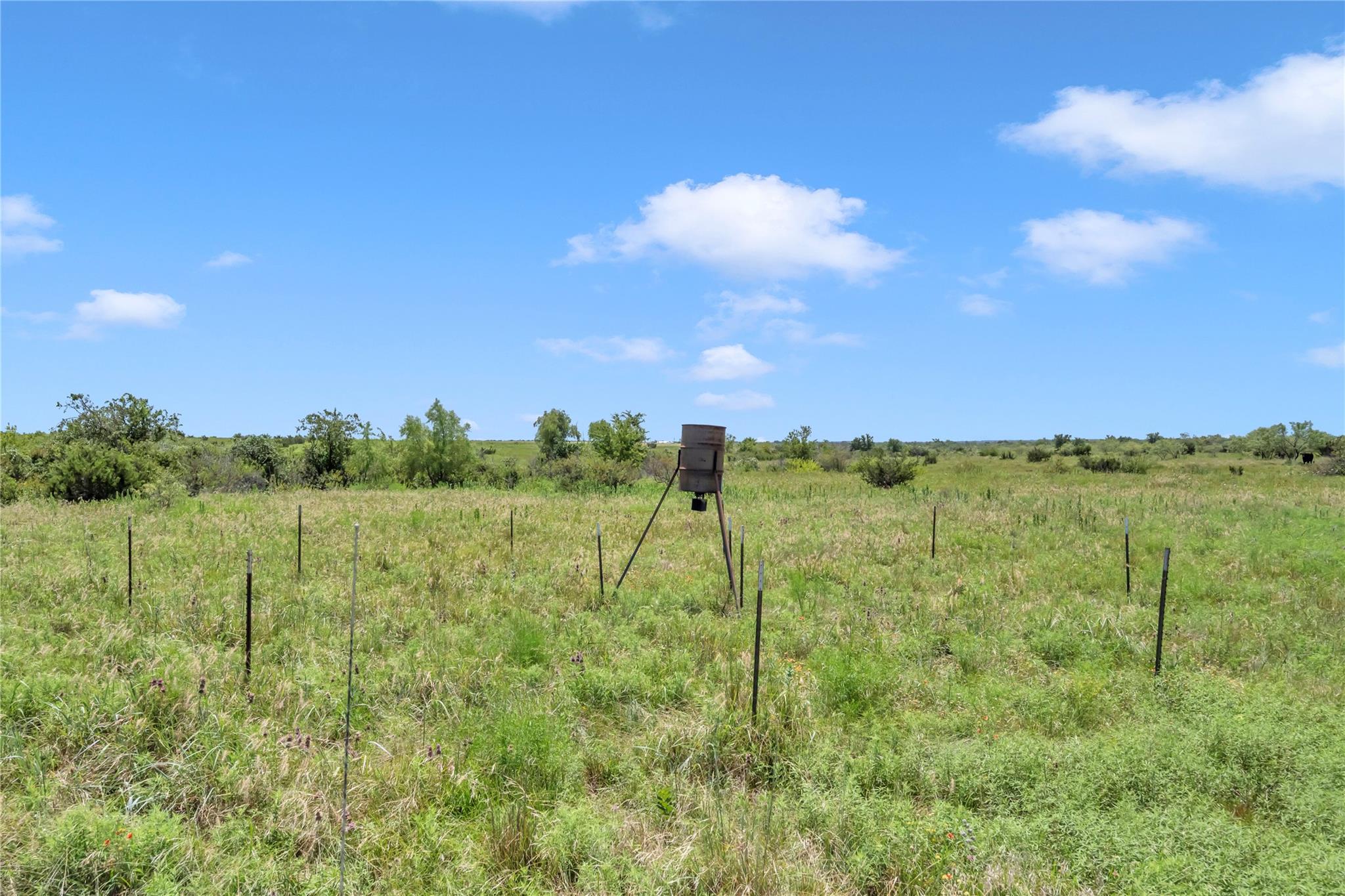 11064 County Road 210 Road Bertram TX 78605