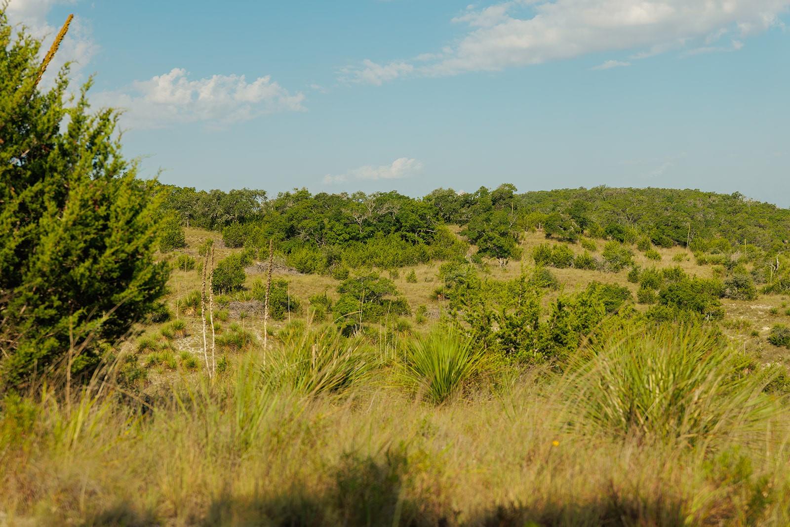 3067 Ranch Road 1888 Blanco TX 78606