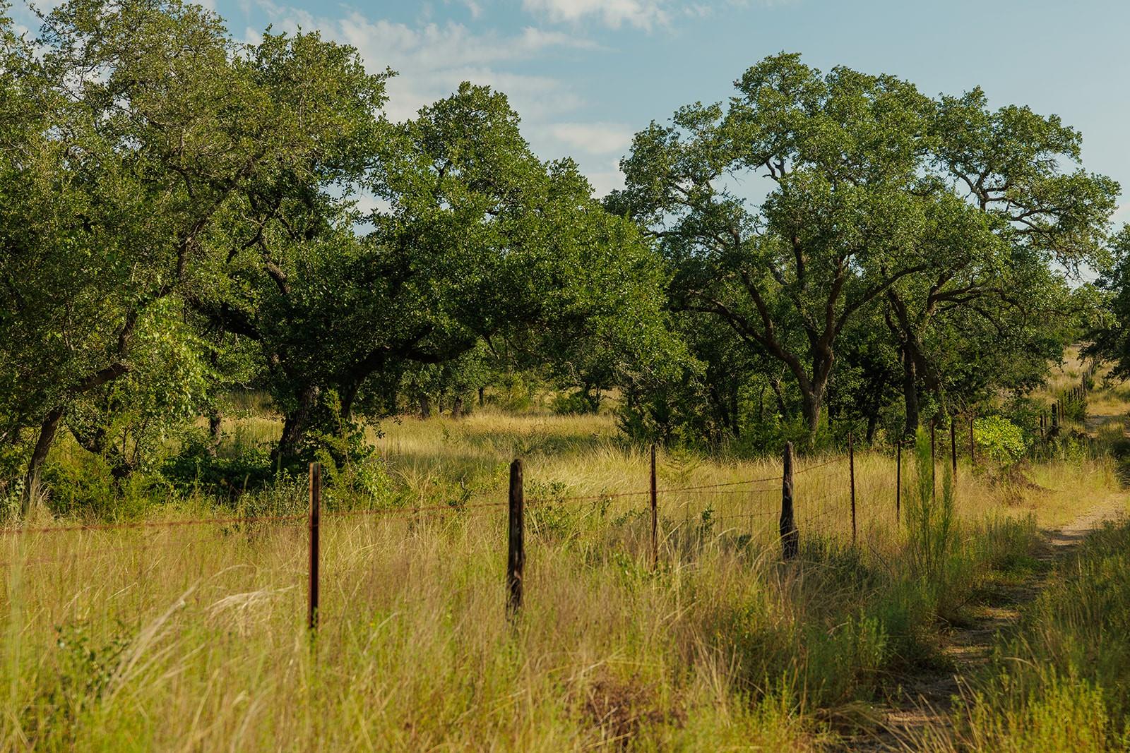 3067 Ranch Road 1888 Blanco TX 78606