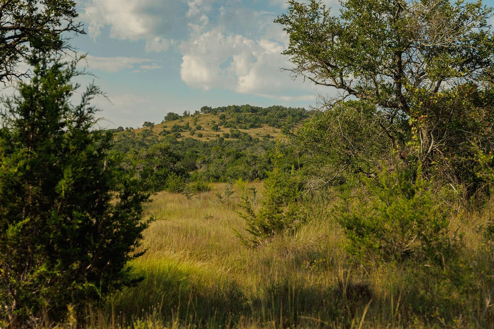 3067 Ranch Road 1888 Blanco TX 78606