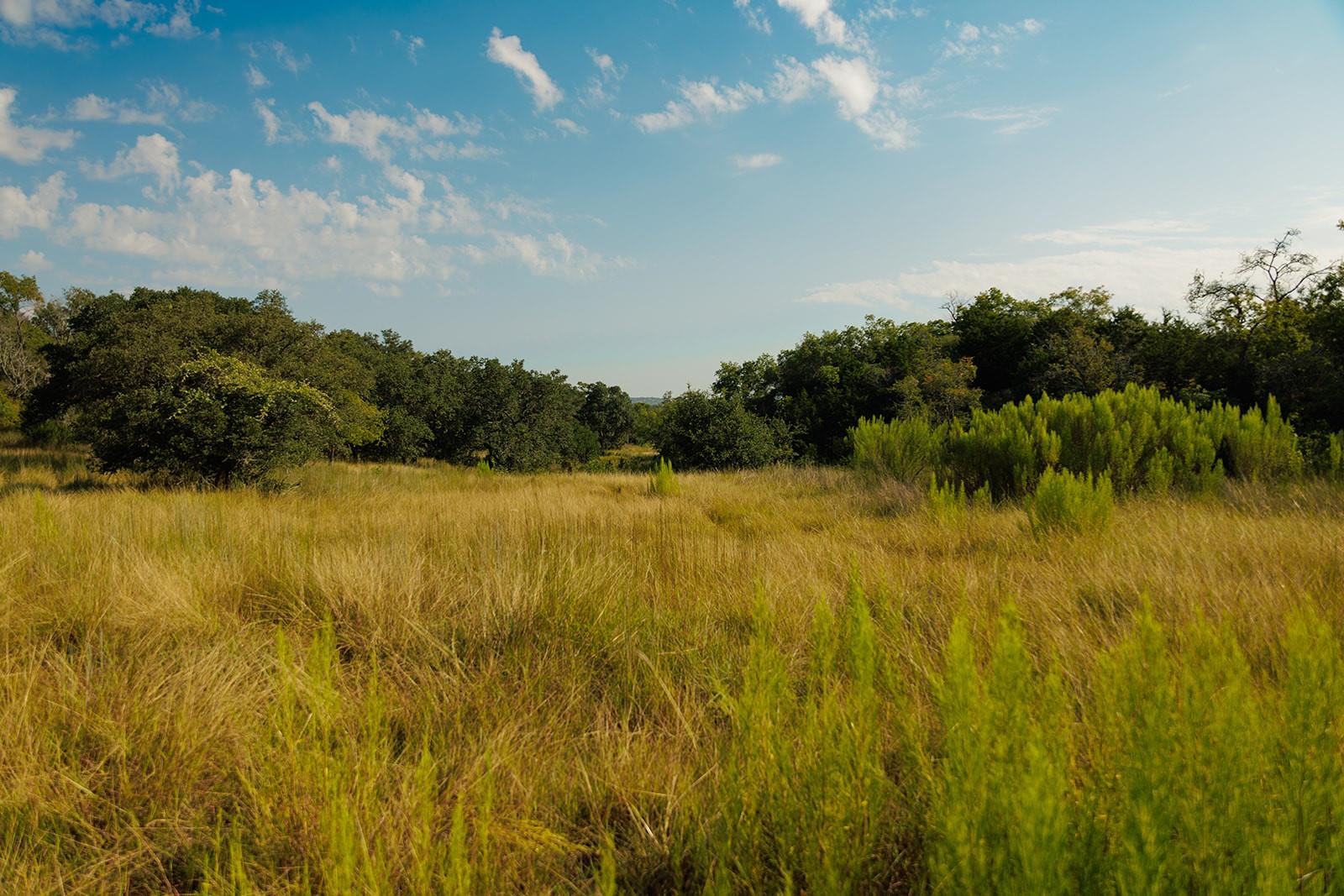 3067 Ranch Road 1888 Blanco TX 78606