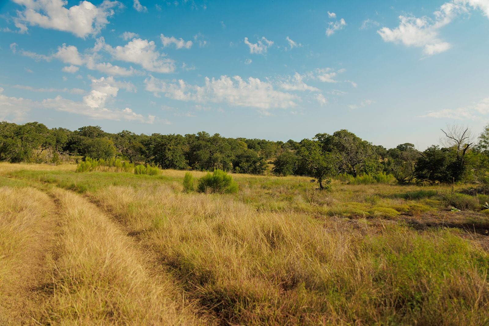 3067 Ranch Road 1888 Blanco TX 78606