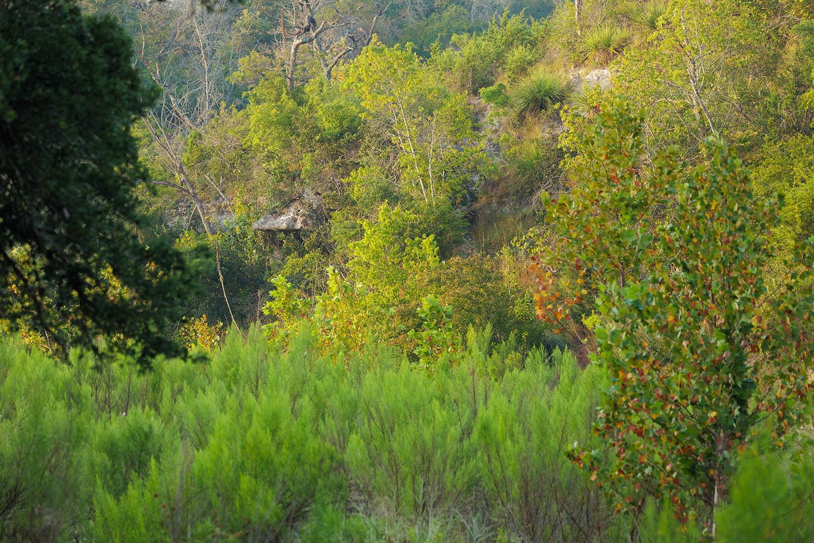 3067 Ranch Road 1888 Blanco TX 78606