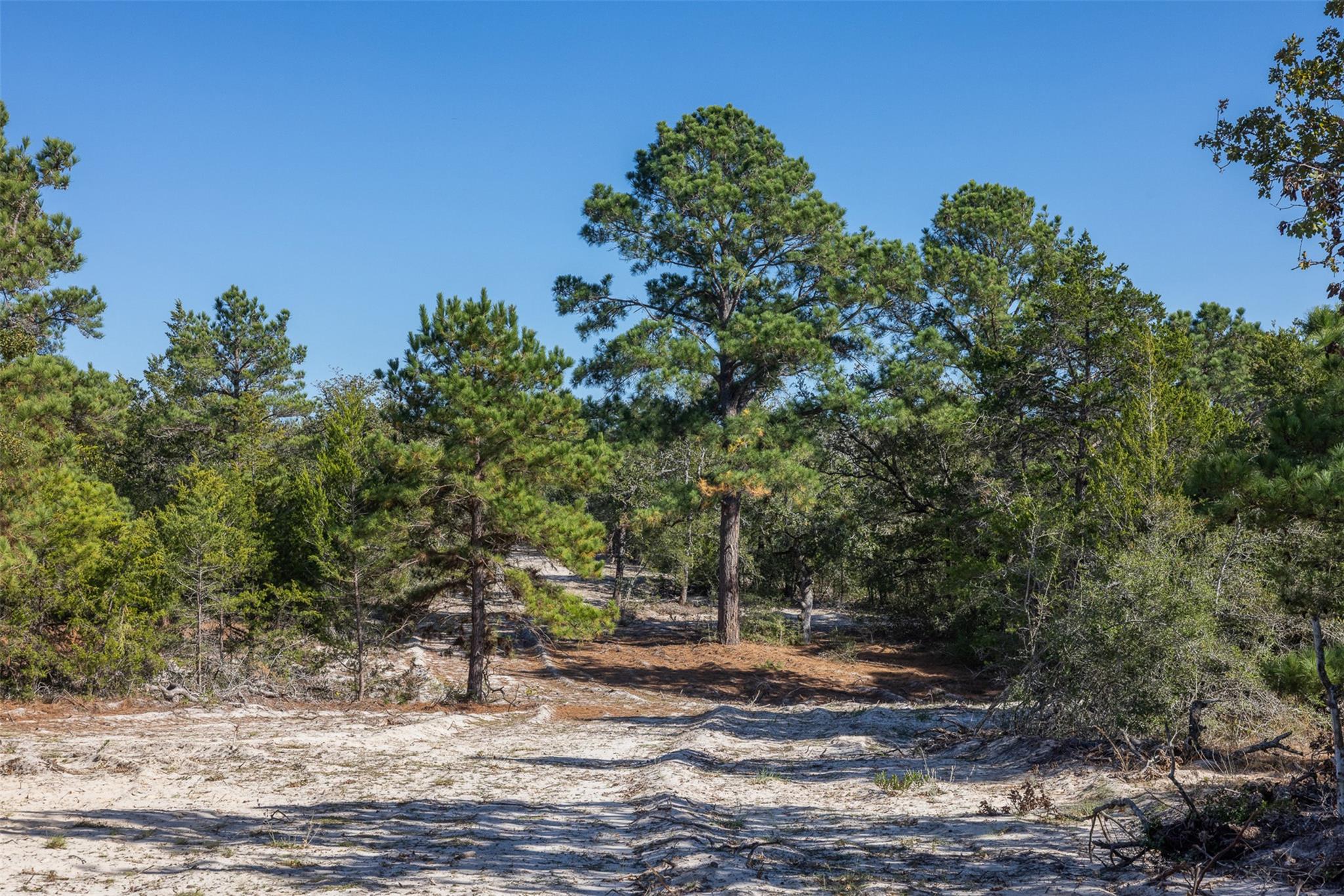 555 Altamira Lane Dale TX 78616