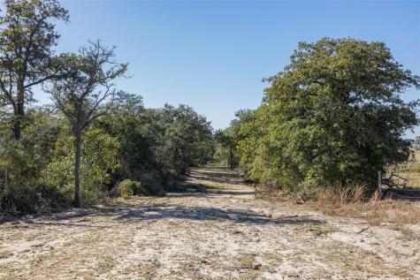 555 Altamira Lane Dale TX 78616