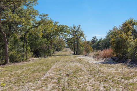 555 Altamira Lane Dale TX 78616