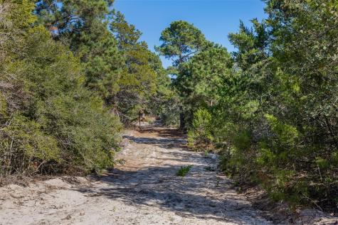 555 Altamira Lane Dale TX 78616