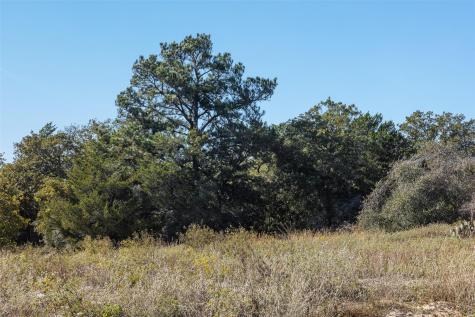 555 Altamira Lane Dale TX 78616