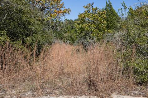 555 Altamira Lane Dale TX 78616