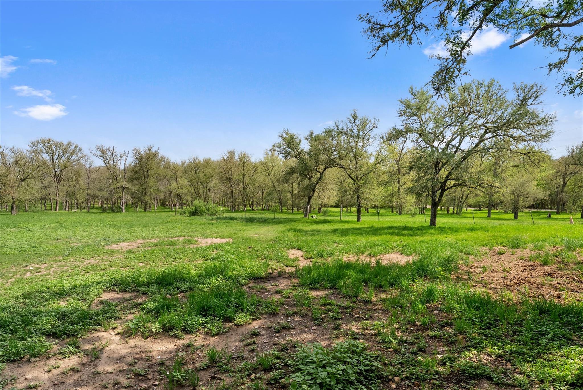 274 Old Austin Trail Elgin TX 78621