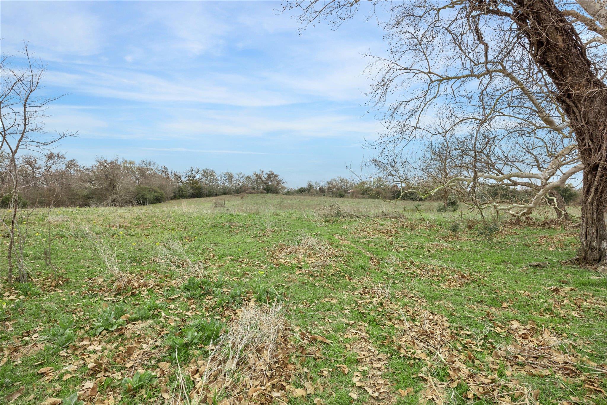 7281 County Road 358 Road Gause TX 77836