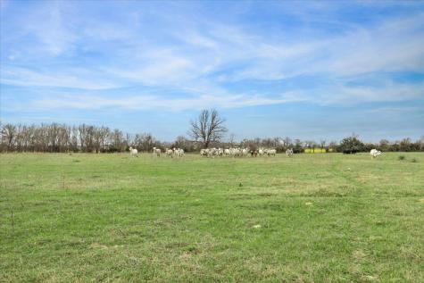 7281 County Road 358 Road Gause TX 77836