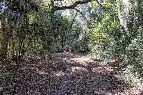 3550 County Road 387 Hallettsville TX 77964