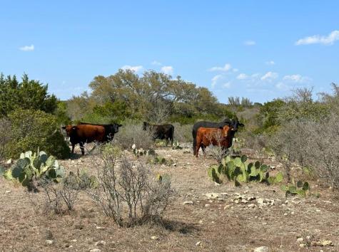 191 Leona Ranch Road Brackettville TX 78832