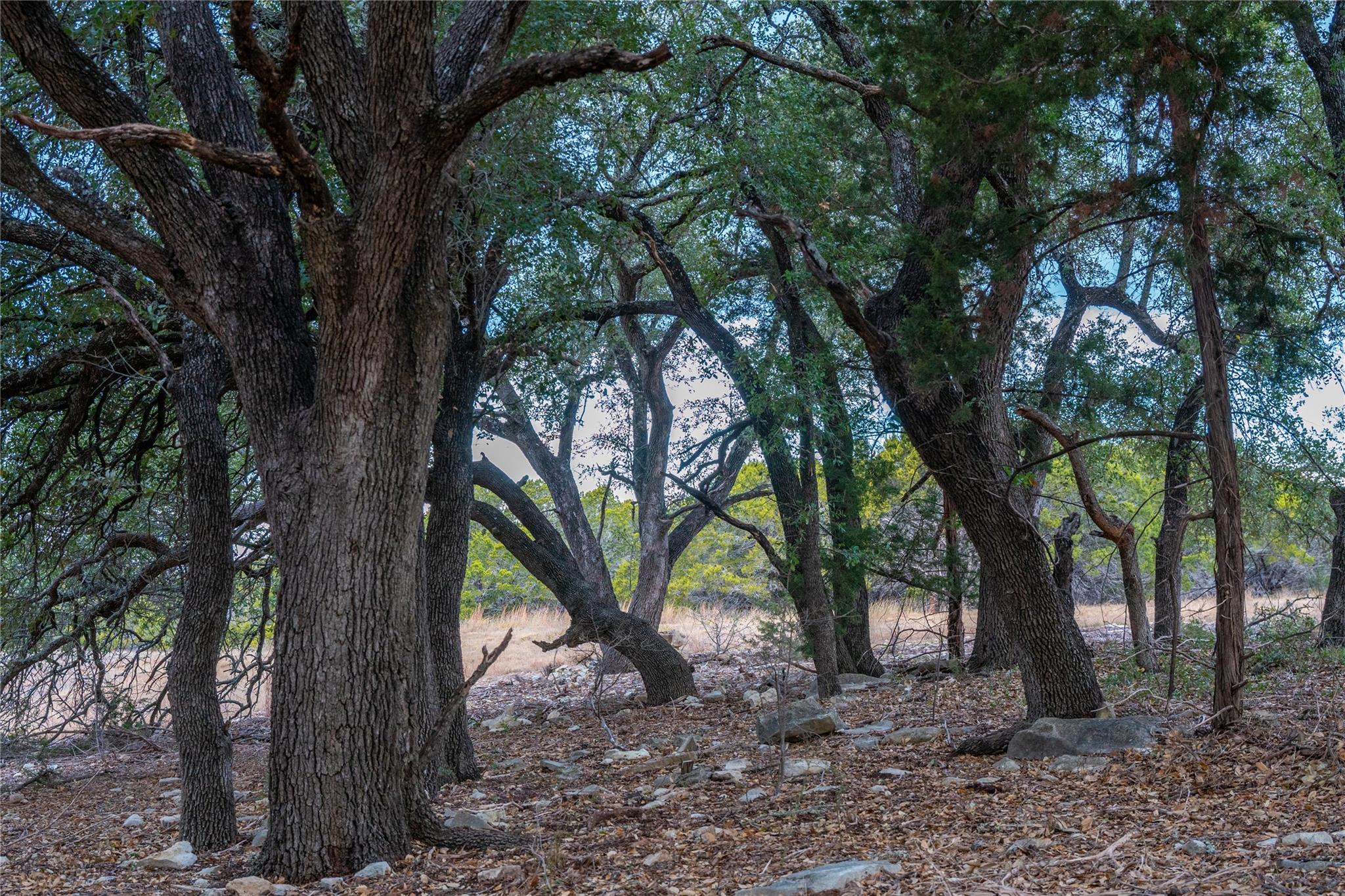 000 S Rocky Trail Lampasas TX 76550