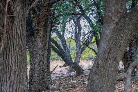 000 S Rocky Trail Lampasas TX 76550