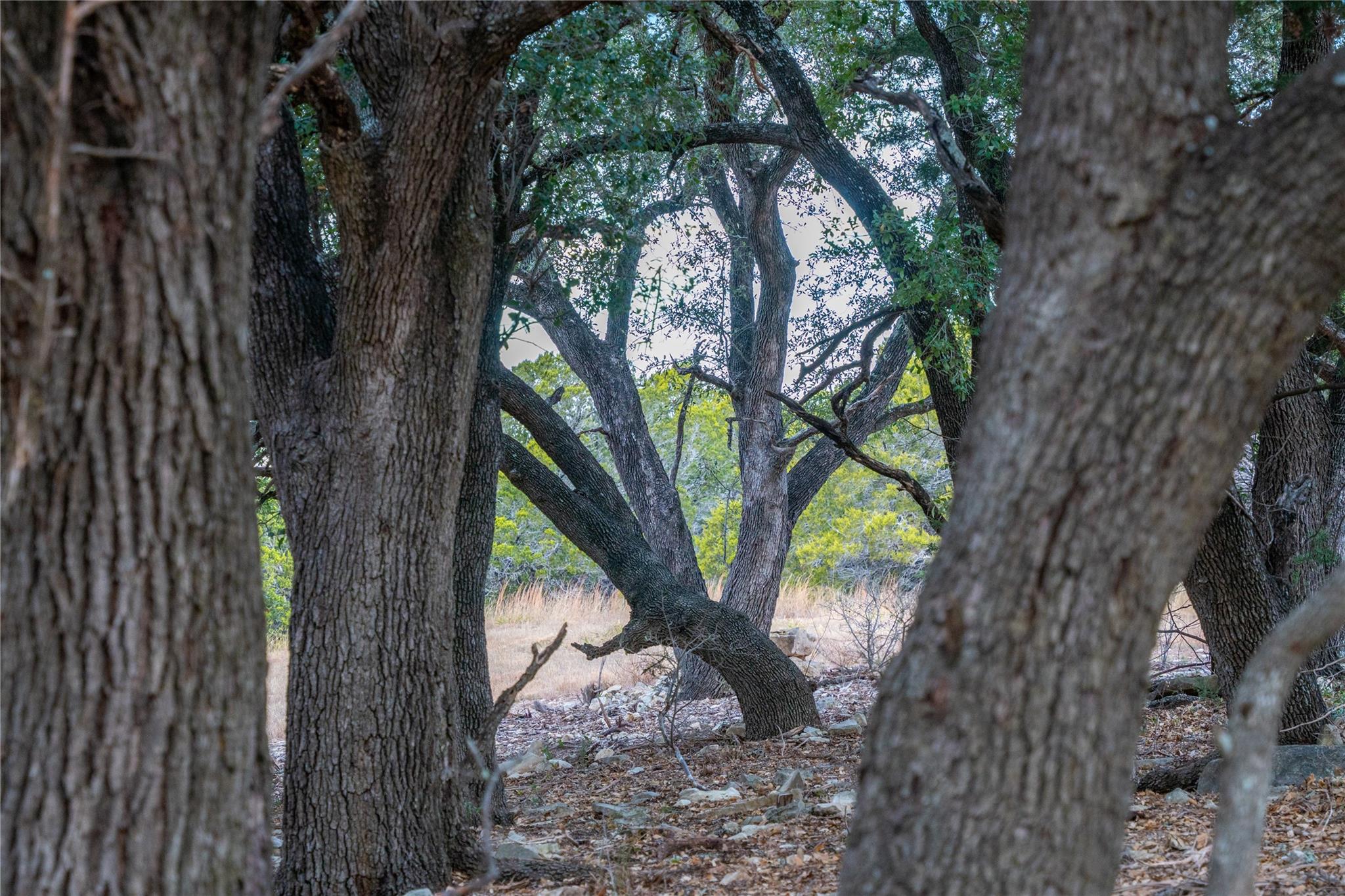 000 S Rocky Trail Lampasas TX 76550