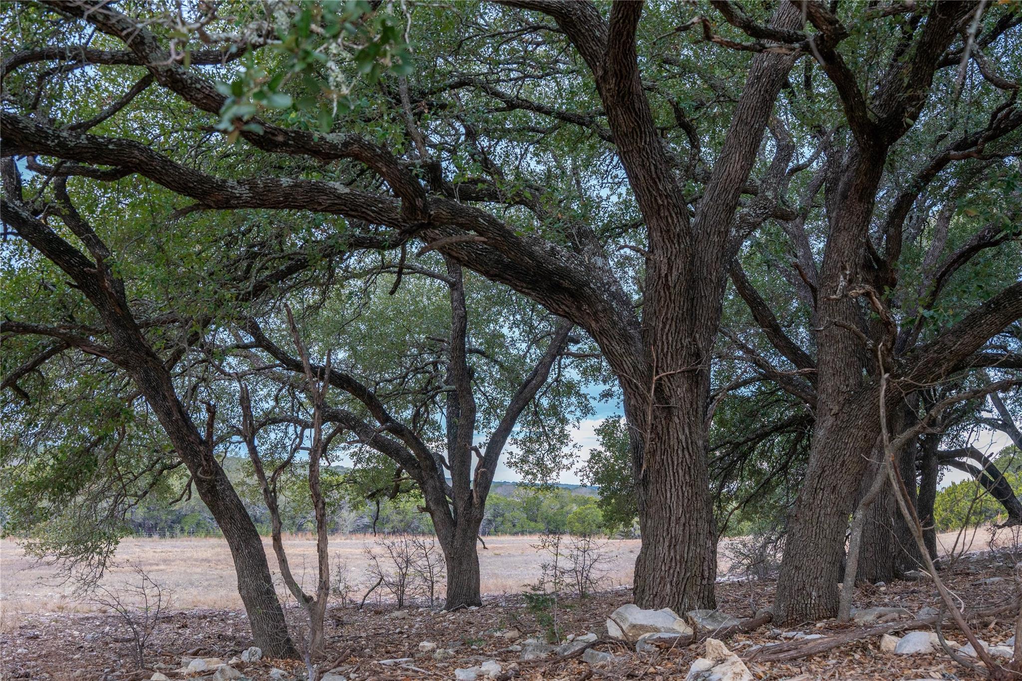 000 S Rocky Trail Lampasas TX 76550