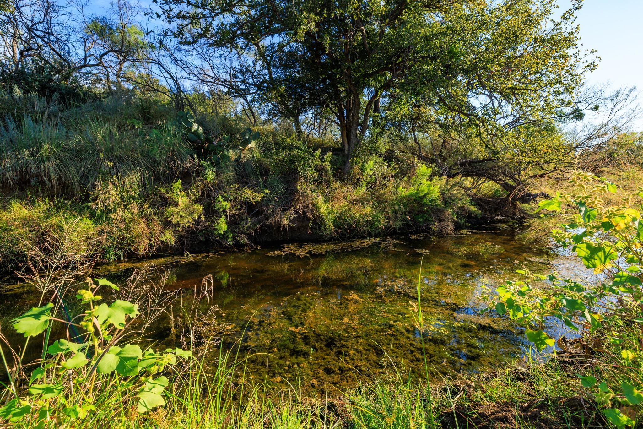 5862 Ranch Road 965 Llano TX 78643