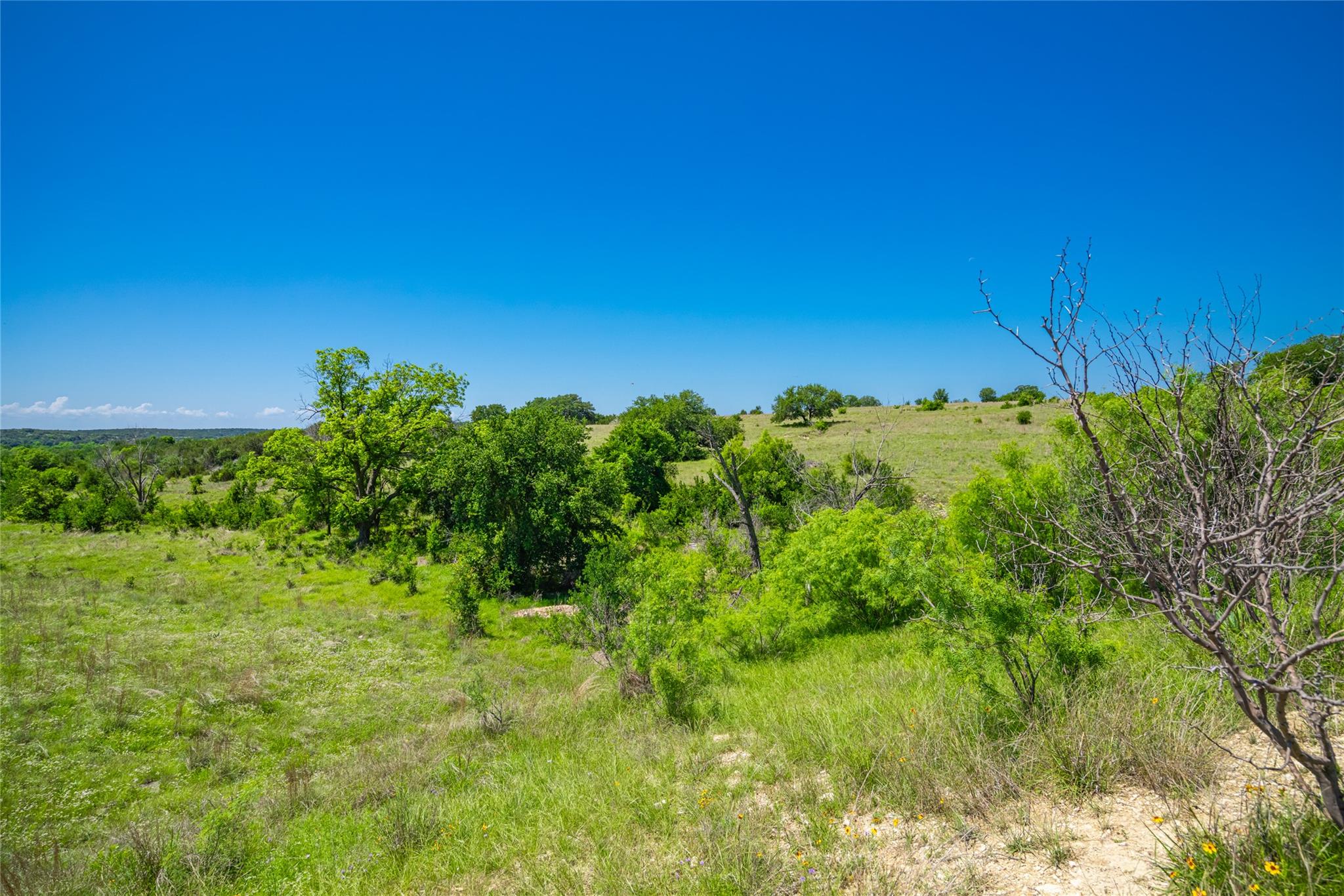 0 County Road 535 Evant TX 76853