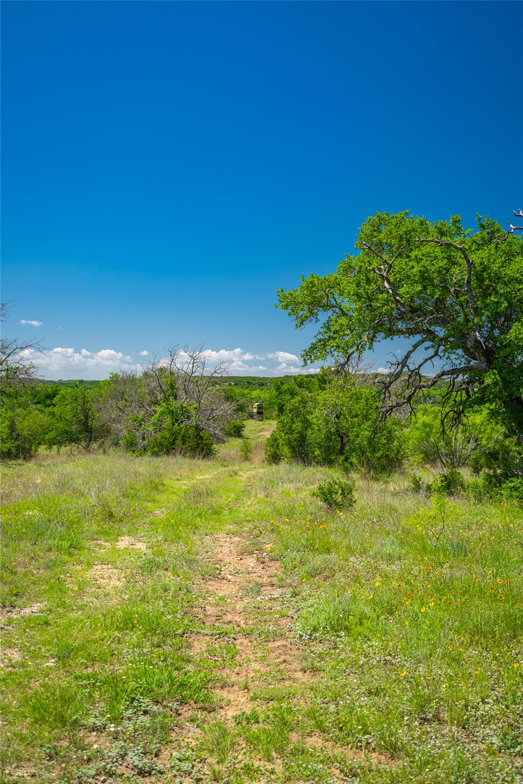 0 County Road 535 Evant TX 76853