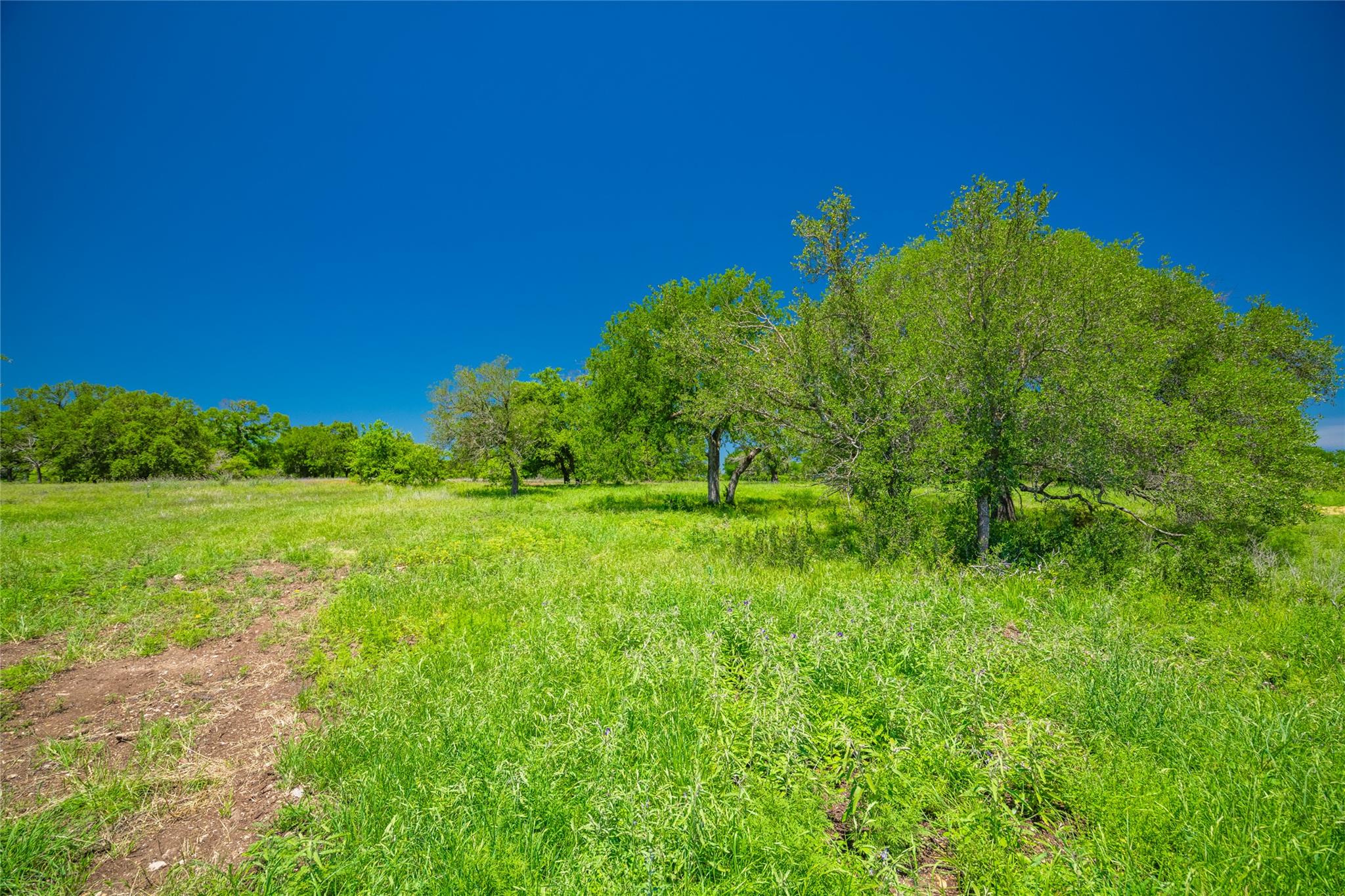 0 County Road 535 Evant TX 76853