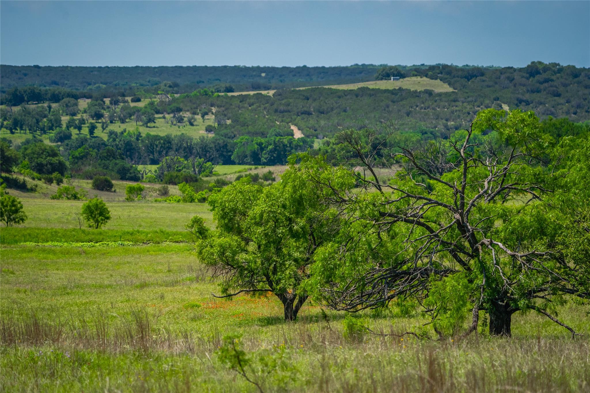 0 County Road 535 Evant TX 76853
