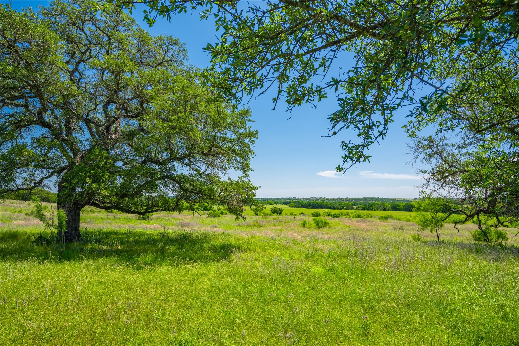 0 County Road 535 Evant TX 76853