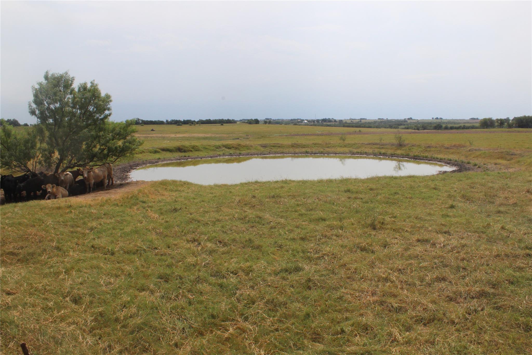 Tba County Road 417 Taylor TX 76574