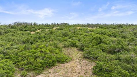 3049 Reservation Road Harper TX 78631