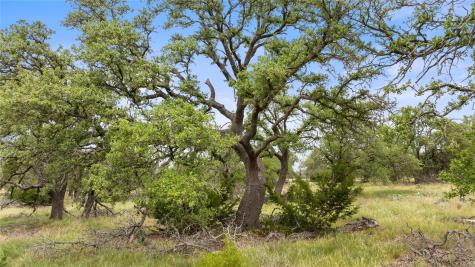 3049 Reservation Road Harper TX 78631