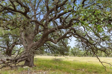 3049 Reservation Road Harper TX 78631