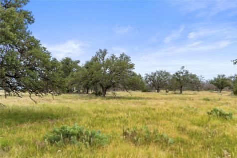 3049 Reservation Road Harper TX 78631