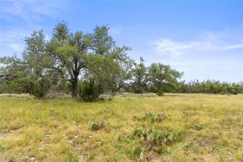 3049 Reservation Road Harper TX 78631