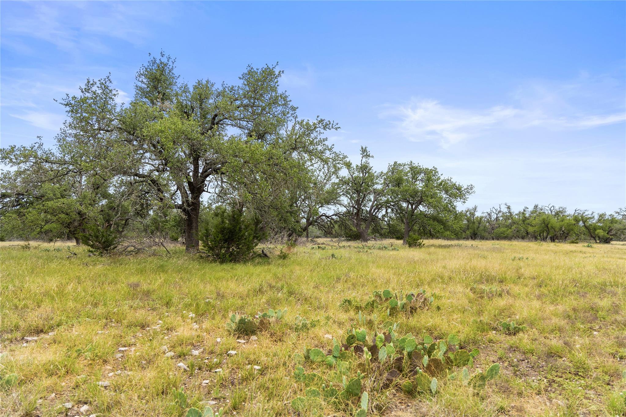 3049 Reservation Road Harper TX 78631