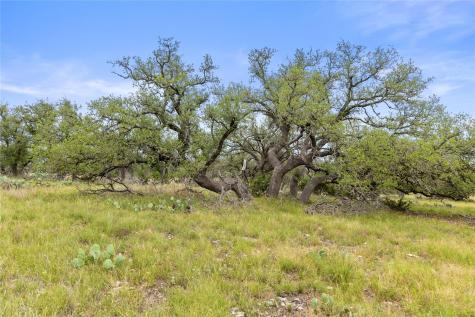 3049 Reservation Road Harper TX 78631