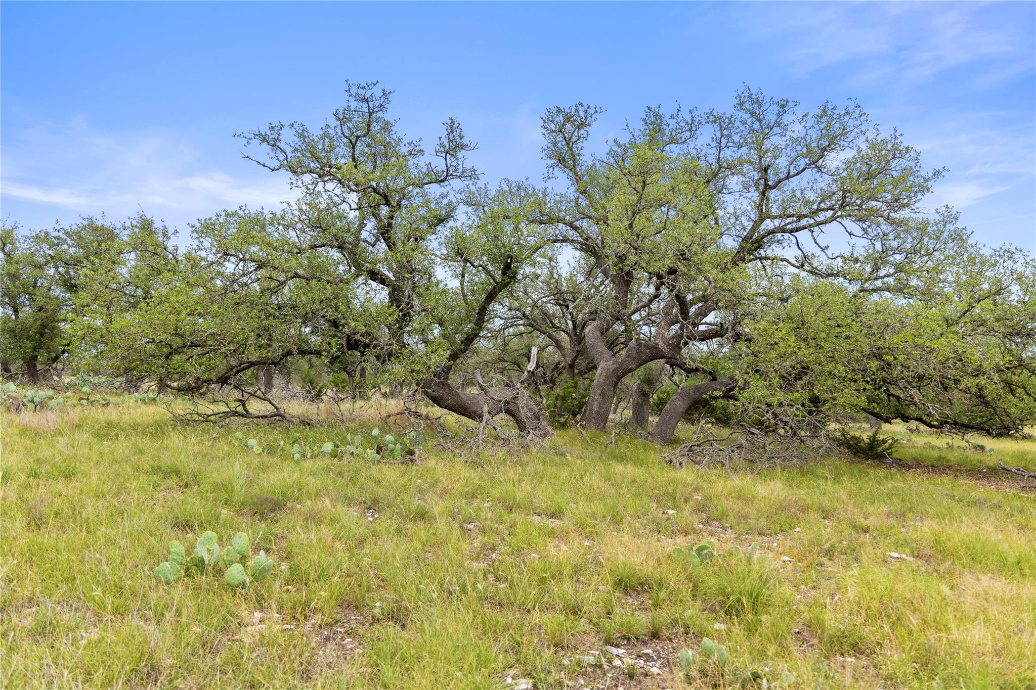 3049 Reservation Road Harper TX 78631