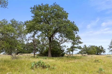 3049 Reservation Road Harper TX 78631