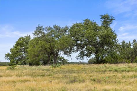 3049 Reservation Road Harper TX 78631