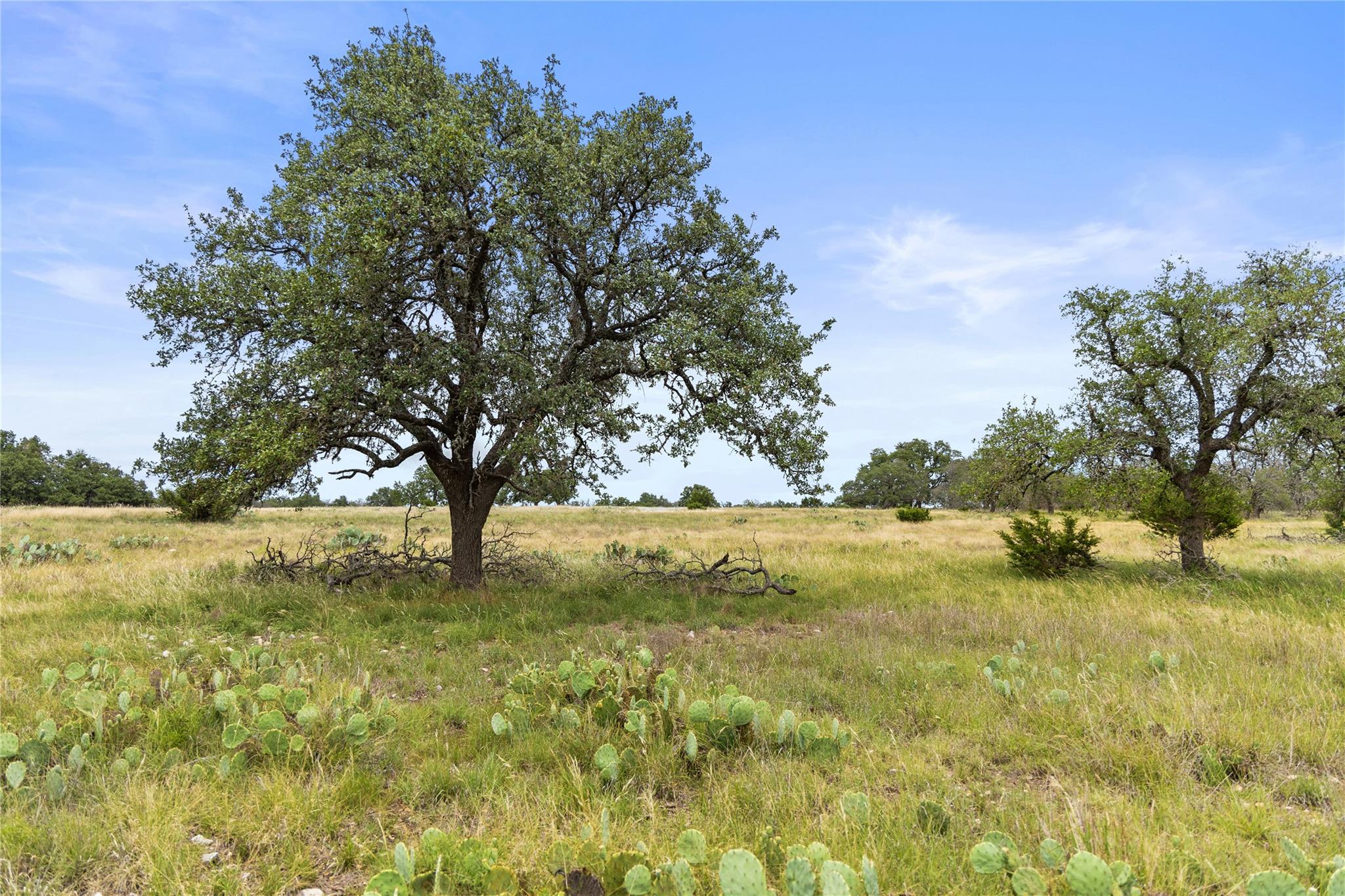 3049 Reservation Road Harper TX 78631