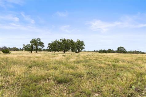 3049 Reservation Road Harper TX 78631